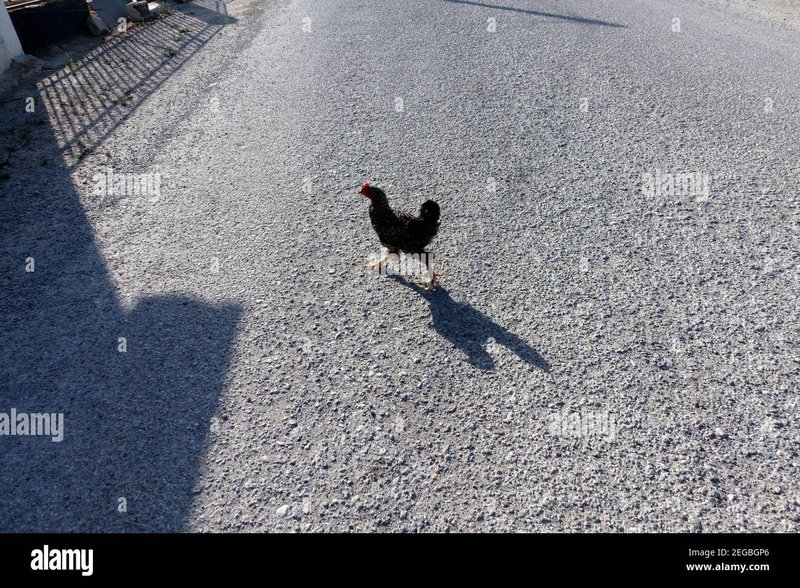Image: Conoce el Emocionante Juego de Azar de Chicken Road en España