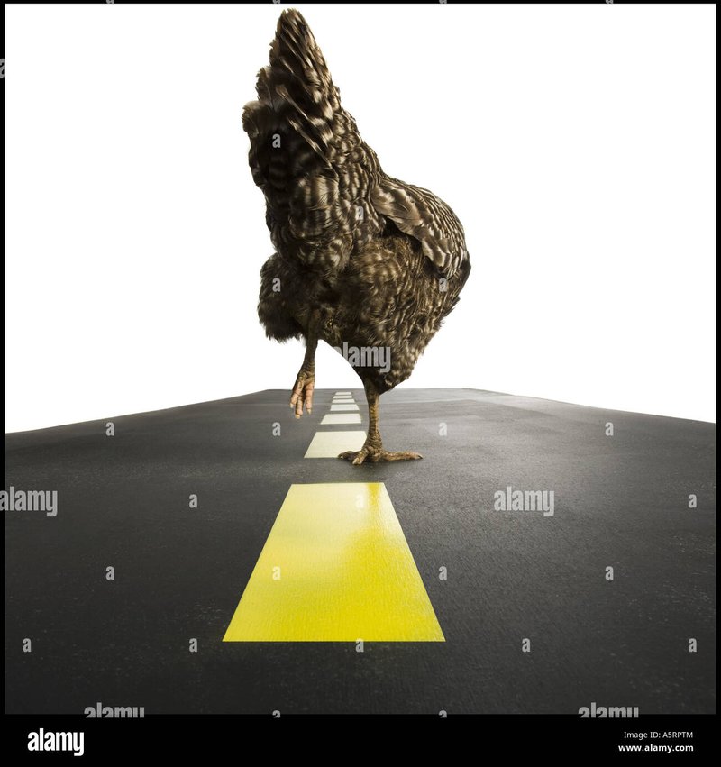 Image: Descubre el Emocionante Juego de la Carretera de Pollo en España en Línea